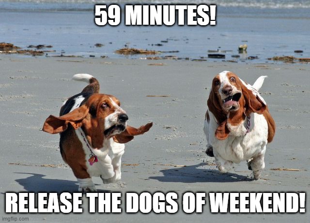 59 minutes | 59 MINUTES! RELEASE THE DOGS OF WEEKEND! | image tagged in basset hounds on the beach | made w/ Imgflip meme maker