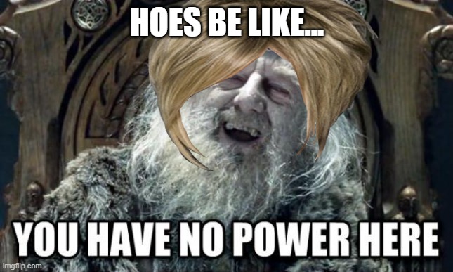 Hoes be like | HOES BE LIKE... | image tagged in you have no power here | made w/ Imgflip meme maker