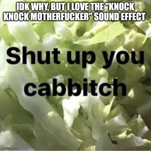 Shut up you cabbitch | IDK WHY, BUT I LOVE THE "KNOCK KNOCK MOTHERFUCKER" SOUND EFFECT | image tagged in shut up you cabbitch | made w/ Imgflip meme maker