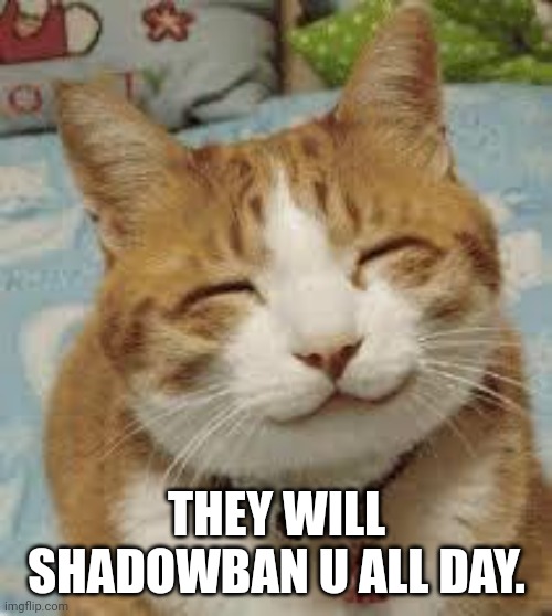 Happy cat | THEY WILL SHADOWBAN U ALL DAY. | image tagged in happy cat | made w/ Imgflip meme maker