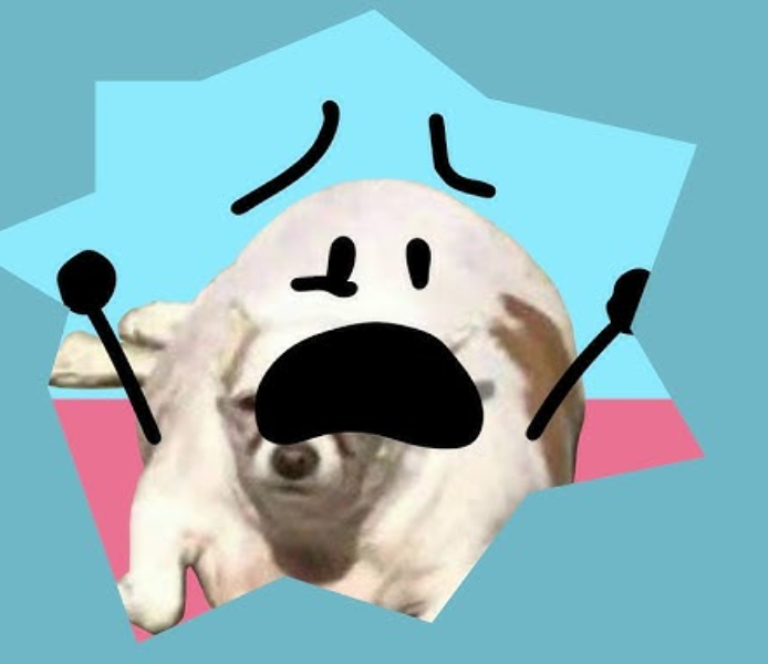 High Quality Plump Dog Shocked Blank Meme Template