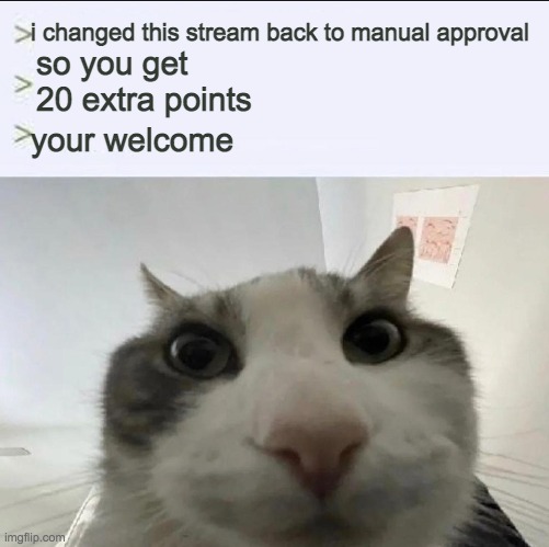 Cat looks inside | i changed this stream back to manual approval; so you get 20 extra points; your welcome | image tagged in cat looks inside | made w/ Imgflip meme maker
