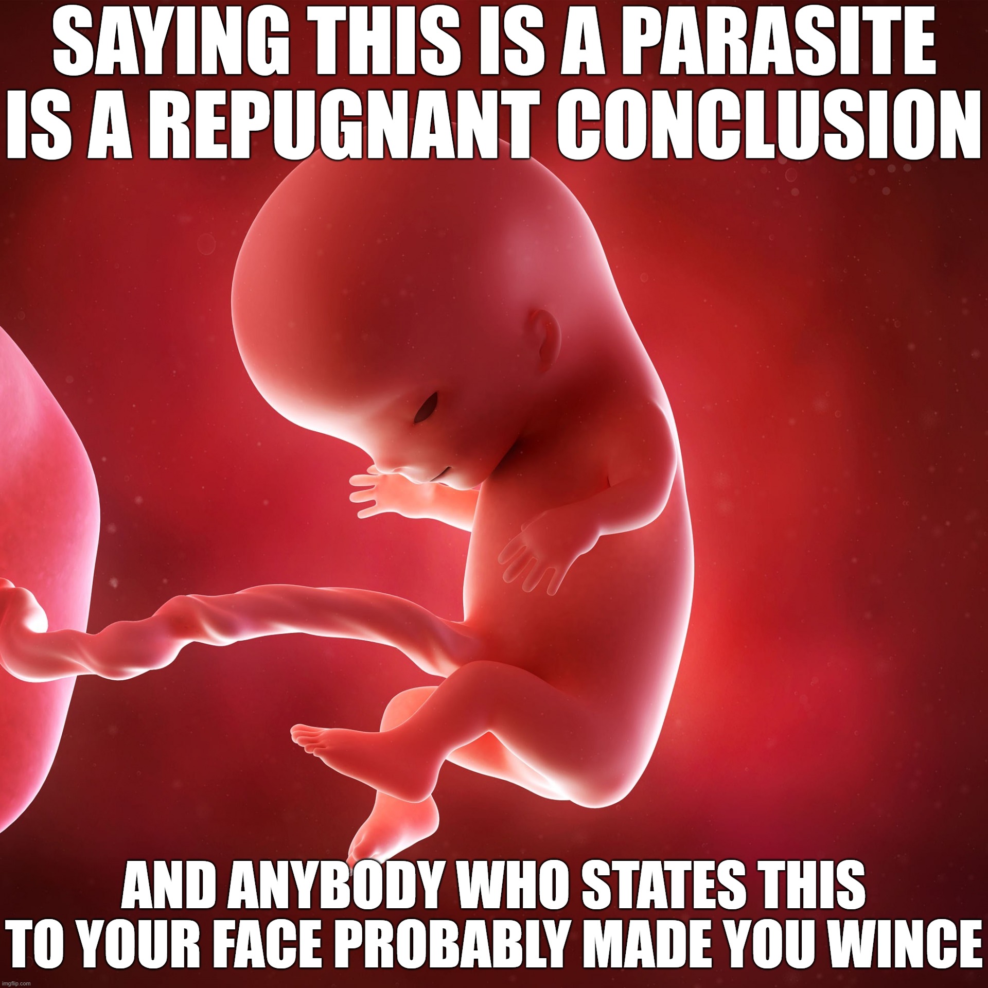 Repugnant Conclusion | SAYING THIS IS A PARASITE IS A REPUGNANT CONCLUSION; AND ANYBODY WHO STATES THIS TO YOUR FACE PROBABLY MADE YOU WINCE | image tagged in fetus,probably should not arrive here,abortion | made w/ Imgflip meme maker