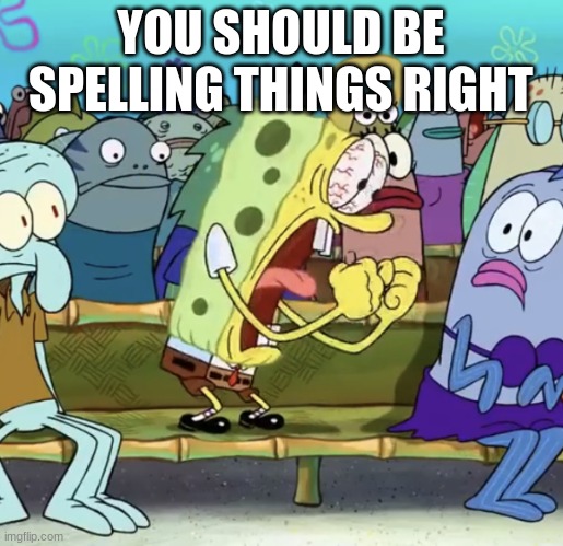 Spongebob Yelling | YOU SHOULD BE SPELLING THINGS RIGHT | image tagged in spongebob yelling | made w/ Imgflip meme maker