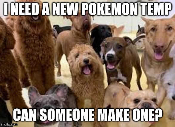 dog army | I NEED A NEW POKEMON TEMP; CAN SOMEONE MAKE ONE? | image tagged in dog army | made w/ Imgflip meme maker