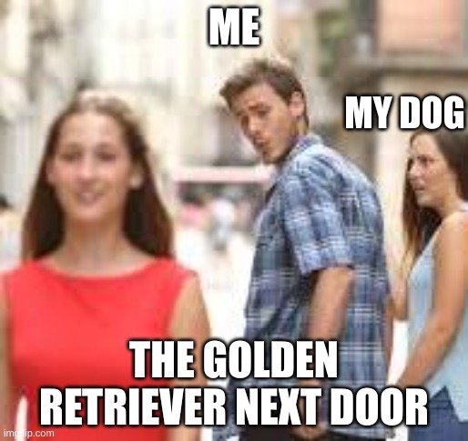 The golden next door | ME; MY DOG; THE GOLDEN RETRIEVER NEXT DOOR | image tagged in memes | made w/ Imgflip meme maker
