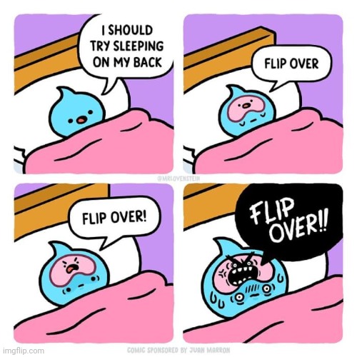 FLIP OVER | image tagged in flip,flip over,beds,bed,comics,comics/cartoons | made w/ Imgflip meme maker