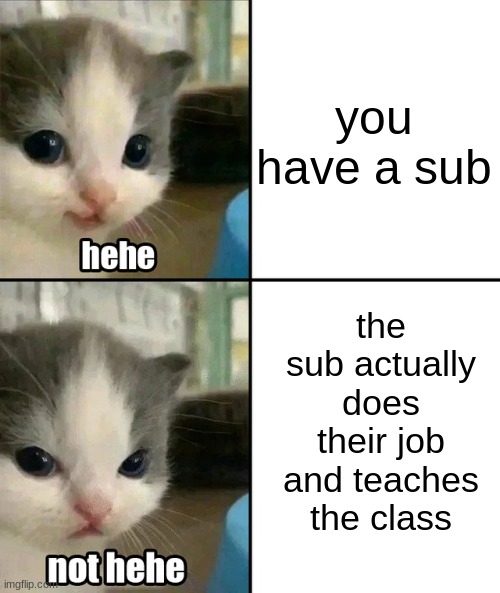 Cute cat hehe and not hehe | you have a sub; the sub actually does their job and teaches the class | image tagged in cute cat hehe and not hehe | made w/ Imgflip meme maker