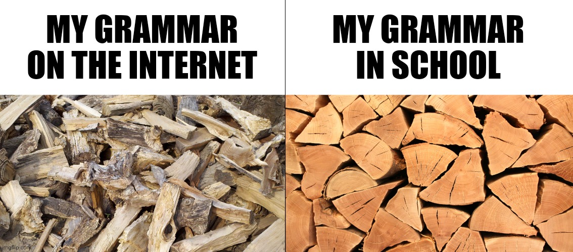 Grammar duality | MY GRAMMAR ON THE INTERNET; MY GRAMMAR IN SCHOOL | image tagged in firewood,grammar,writing,typing,school,memes | made w/ Imgflip meme maker
