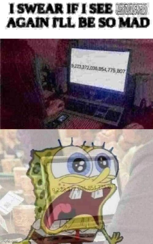 NOOO | image tagged in i swear if i see 9 223 372 036 854 775 807 again i'll be so mad,nooo not the signed 64 bit integer limit | made w/ Imgflip meme maker