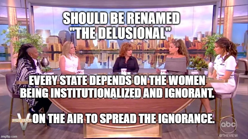 the view | SHOULD BE RENAMED "THE DELUSIONAL"; EVERY STATE DEPENDS ON THE WOMEN BEING INSTITUTIONALIZED AND IGNORANT.                                 
       ON THE AIR TO SPREAD THE IGNORANCE. | image tagged in the view | made w/ Imgflip meme maker