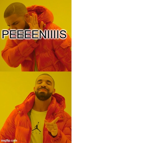 Drake Hotline Bling Meme | PEEEENIIIIS | image tagged in memes,drake hotline bling | made w/ Imgflip meme maker