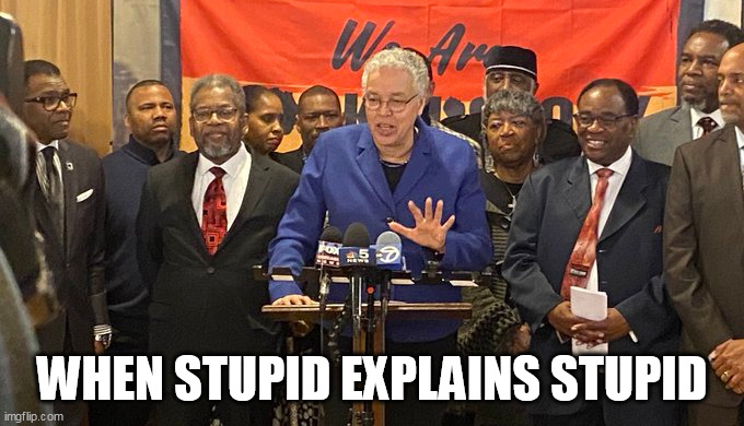when stupid explains stupid | WHEN STUPID EXPLAINS STUPID | image tagged in toni periwinkle,politics,stupid,chicago,democrats,corrupt | made w/ Imgflip meme maker