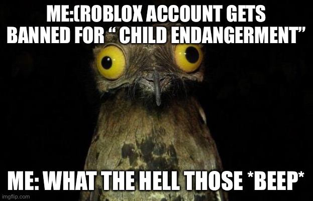 Roblox meme | ME:(ROBLOX ACCOUNT GETS BANNED FOR “ CHILD ENDANGERMENT”; ME: WHAT THE HELL THOSE *BEEP* | image tagged in memes,weird stuff i do potoo,roblox meme | made w/ Imgflip meme maker