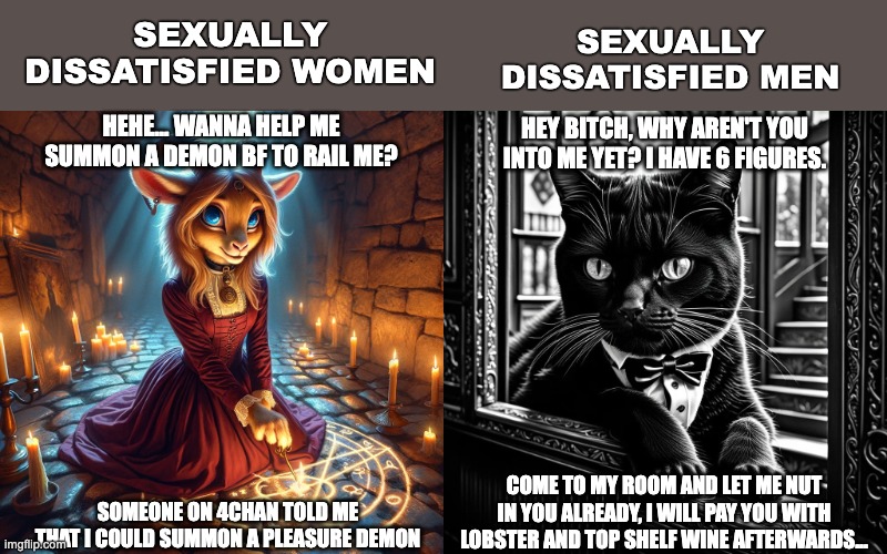 SEXUALLY DISSATISFIED MEN; SEXUALLY DISSATISFIED WOMEN; HEHE... WANNA HELP ME SUMMON A DEMON BF TO RAIL ME? HEY BITCH, WHY AREN'T YOU INTO ME YET? I HAVE 6 FIGURES. COME TO MY ROOM AND LET ME NUT IN YOU ALREADY, I WILL PAY YOU WITH LOBSTER AND TOP SHELF WINE AFTERWARDS... SOMEONE ON 4CHAN TOLD ME THAT I COULD SUMMON A PLEASURE DEMON | image tagged in sexually dissatisfied,sexual,women,men,men vs women,cute | made w/ Imgflip meme maker