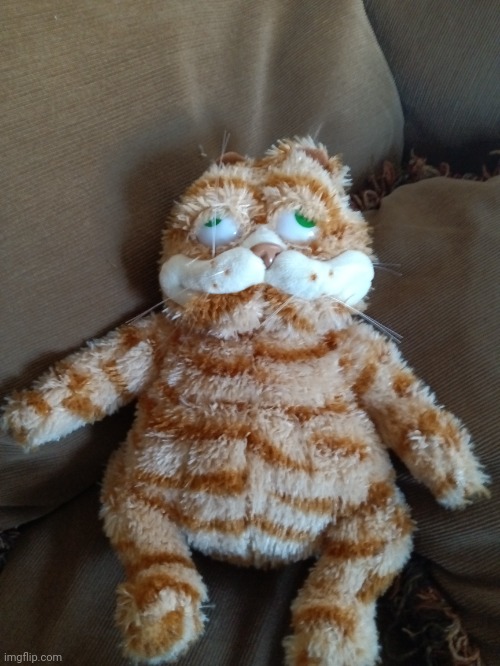 My garfielf came in the mail today :D | image tagged in garfielf,garfield | made w/ Imgflip meme maker