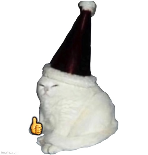 Party Hat Cat | ? | image tagged in party hat cat | made w/ Imgflip meme maker