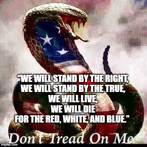 cobra snake patriotic | “WE WILL STAND BY THE RIGHT,
WE WILL STAND BY THE TRUE,
WE WILL LIVE,
WE WILL DIE
FOR THE RED, WHITE, AND BLUE.” | image tagged in cobra snake patriotic | made w/ Imgflip meme maker
