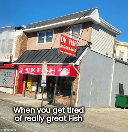 This must be the place | When you get tired of really great Fish | image tagged in fish,just ok,good luck,i too like to live dangerously,hooks you,oh boy my favorite seat | made w/ Imgflip meme maker