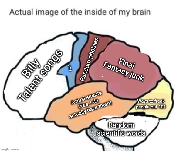 Face reveal on April 1st | Final Fantasy junk; Random phobias; Billy Talent songs; Mons; Actual smarts (Yes, I do actually have them); Ways to freak people out 101; Random scientific words | image tagged in actual image of the inside of my brain | made w/ Imgflip meme maker