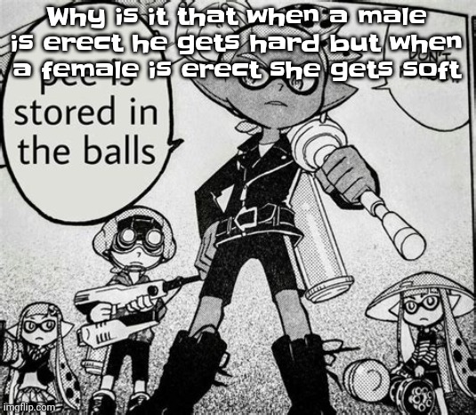 Pee is stored in the balls | Why is it that when a male is erect he gets hard but when a female is erect she gets soft | image tagged in pee is stored in the balls | made w/ Imgflip meme maker