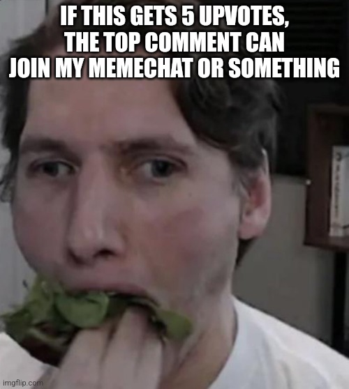 Jerma eating Lettuce | IF THIS GETS 5 UPVOTES, THE TOP COMMENT CAN JOIN MY MEMECHAT OR SOMETHING | image tagged in jerma eating lettuce | made w/ Imgflip meme maker
