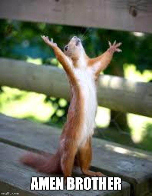 Praise Squirrel | AMEN BROTHER | image tagged in praise squirrel | made w/ Imgflip meme maker