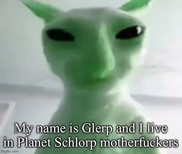 My name is Glerp and I live in Planet Schlorp motherf**kers | image tagged in my name is glerp and i live in planet schlorp motherf kers | made w/ Imgflip meme maker