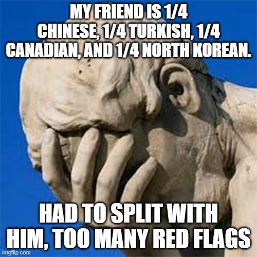 oof | MY FRIEND IS 1/4 CHINESE, 1/4 TURKISH, 1/4 CANADIAN, AND 1/4 NORTH KOREAN. HAD TO SPLIT WITH HIM, TOO MANY RED FLAGS | image tagged in groan facepalm,dad joke,memes,eyeroll | made w/ Imgflip meme maker