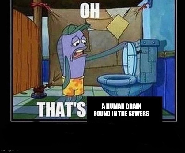 Look it up | A HUMAN BRAIN FOUND IN THE SEWERS | image tagged in oh that s | made w/ Imgflip meme maker