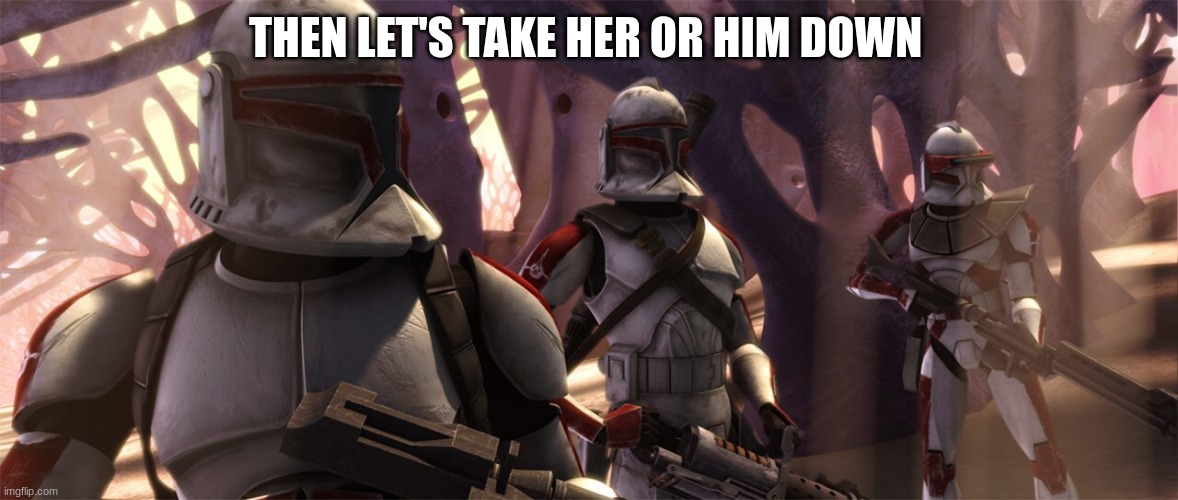 clone troopers | THEN LET'S TAKE HER OR HIM DOWN | image tagged in clone troopers | made w/ Imgflip meme maker