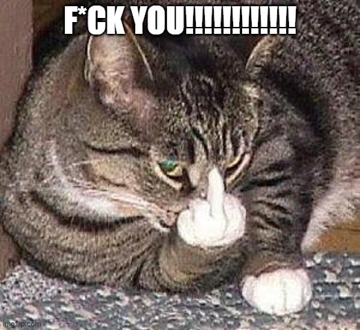 f you | F*CK YOU!!!!!!!!!!!! | image tagged in cat middle finger,f you,middle finger | made w/ Imgflip meme maker