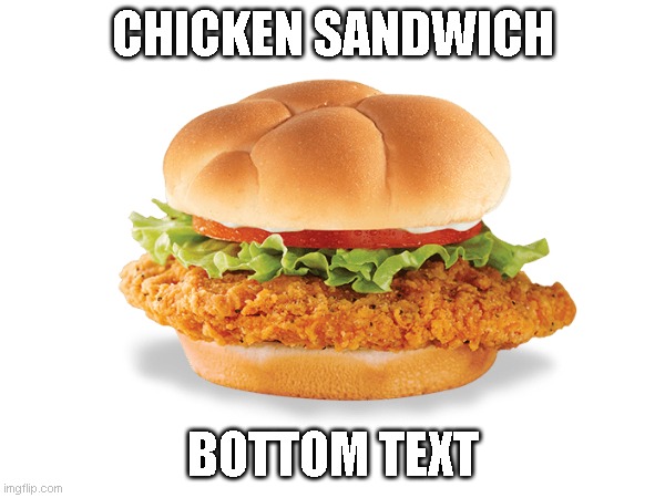 lets see how many up-votes a chicken sandwich can get | CHICKEN SANDWICH; BOTTOM TEXT | image tagged in chicken sandwich | made w/ Imgflip meme maker