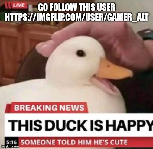 happy duck | GO FOLLOW THIS USER
HTTPS://IMGFLIP.COM/USER/GAMER_ALT | image tagged in happy duck | made w/ Imgflip meme maker