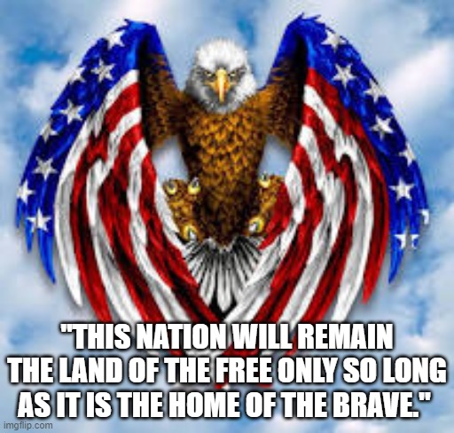 America | "THIS NATION WILL REMAIN THE LAND OF THE FREE ONLY SO LONG AS IT IS THE HOME OF THE BRAVE." | image tagged in patriotism,god bless america,freedom,america,gun rights | made w/ Imgflip meme maker