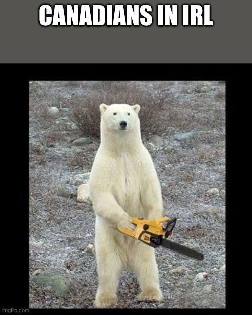 Canadians are nice (yeah right) | CANADIANS IN IRL | image tagged in memes,chainsaw bear,canada,meanwhile in canada | made w/ Imgflip meme maker