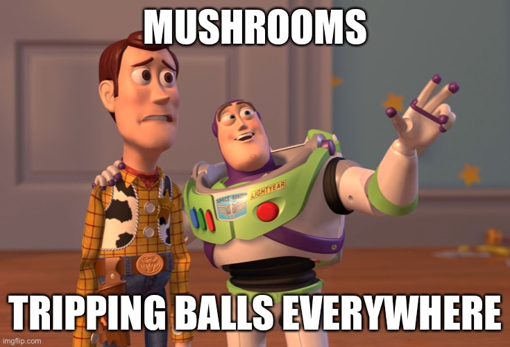 wow | MUSHROOMS; TRIPPING BALLS EVERYWHERE | image tagged in memes,x x everywhere | made w/ Imgflip meme maker