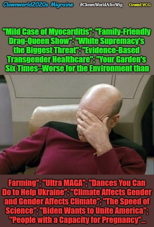 Clownworld2020s Migraine | image tagged in clown world afro wig,liberal logic,clown world,captain picard facepalm,migraines,obsessive kabbalah disorder | made w/ Imgflip meme maker