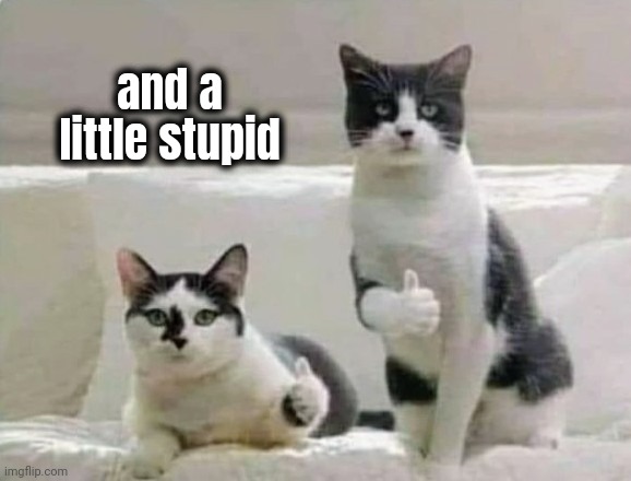 Thumbs up Cats | and a little stupid | image tagged in thumbs up cats | made w/ Imgflip meme maker