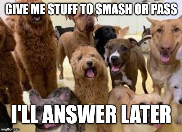 dog army | GIVE ME STUFF TO SMASH OR PASS; I'LL ANSWER LATER | image tagged in dog army | made w/ Imgflip meme maker