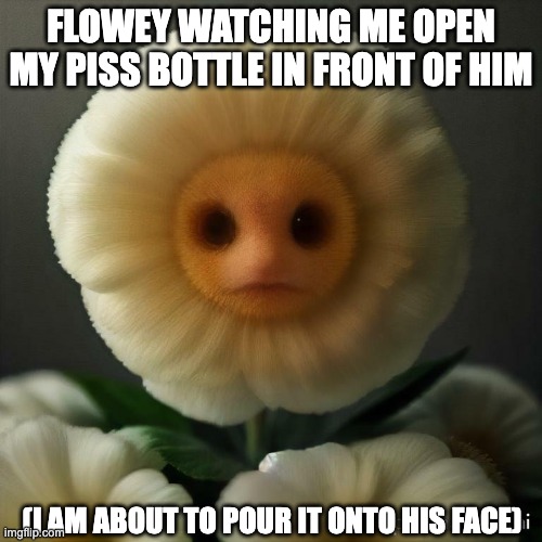 FLOWEY WATCHING ME OPEN MY PISS BOTTLE IN FRONT OF HIM; (I AM ABOUT TO POUR IT ONTO HIS FACE) | image tagged in undertale,piss,flowey,piss on you,plant,flower | made w/ Imgflip meme maker