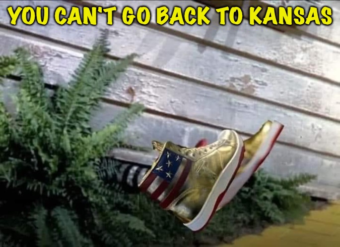 Cause of death falling house | YOU CAN'T GO BACK TO KANSAS | image tagged in gold trump sneakers,wizard of oz | made w/ Imgflip meme maker
