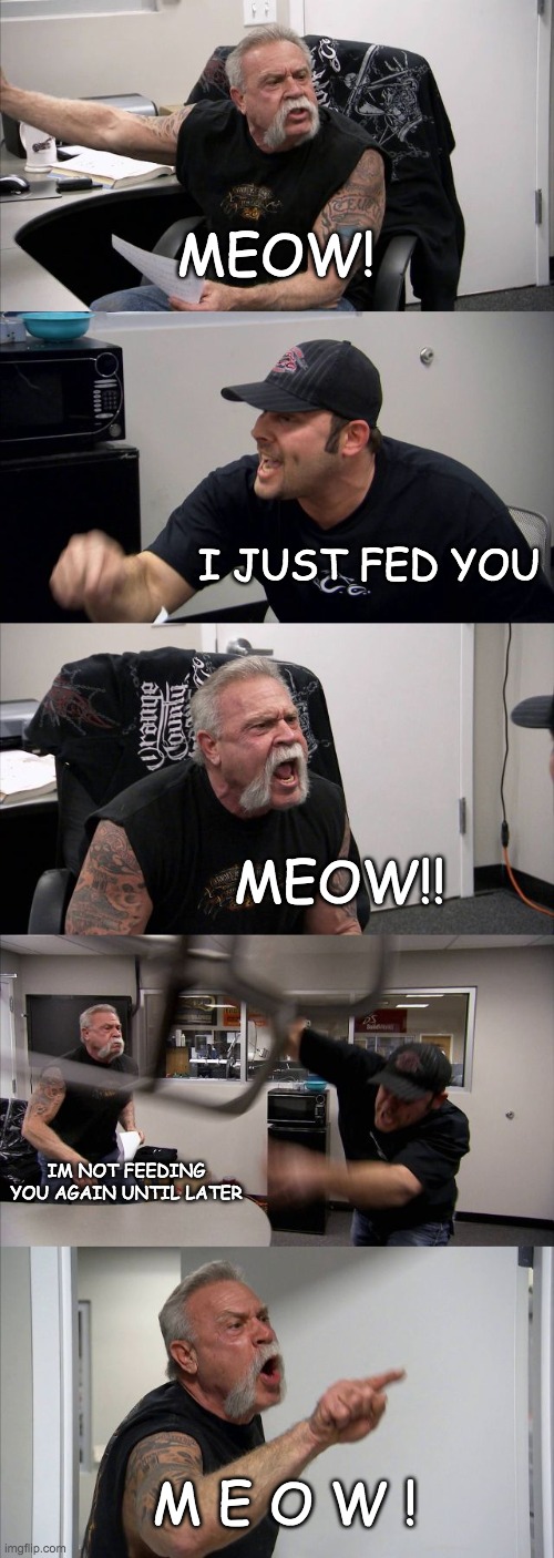 American Chopper Argument Meme | MEOW! I JUST FED YOU; MEOW!! IM NOT FEEDING YOU AGAIN UNTIL LATER; M E O W ! | image tagged in memes,american chopper argument | made w/ Imgflip meme maker