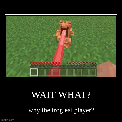 why does this frog eat the player? | WAIT WHAT? | why the frog eat player? | image tagged in funny,demotivationals | made w/ Imgflip demotivational maker