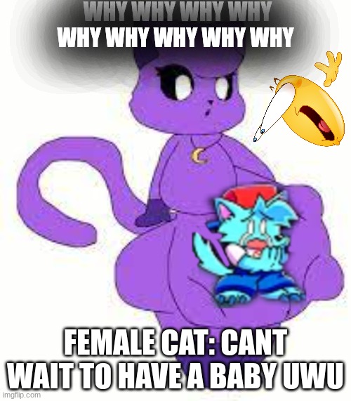 Upvote for bleach | WHY WHY WHY WHY WHY WHY WHY WHY WHY; FEMALE CAT: CANT WAIT TO HAVE A BABY UWU | image tagged in catnap is fat,oh god why,furry memes,cringe worthy,pregnancy,youtube kids | made w/ Imgflip meme maker