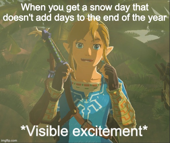 Visible excitement | When you get a snow day that doesn't add days to the end of the year | image tagged in visible excitement | made w/ Imgflip meme maker