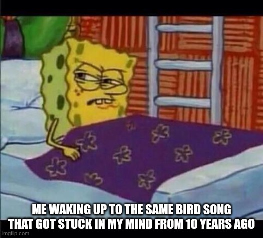 but they are different birds im sure, so how is it the same? | ME WAKING UP TO THE SAME BIRD SONG THAT GOT STUCK IN MY MIND FROM 10 YEARS AGO | image tagged in spongebob waking up | made w/ Imgflip meme maker