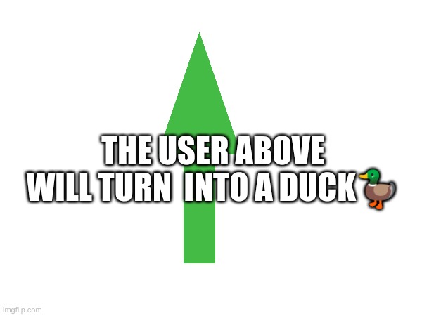 m | THE USER ABOVE WILL TURN  INTO A DUCK🦆 | image tagged in ducky | made w/ Imgflip meme maker