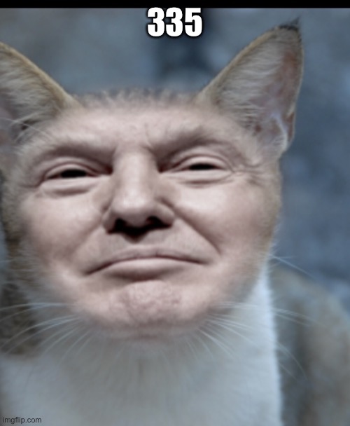 Donald trump cat | 335 | image tagged in donald trump cat | made w/ Imgflip meme maker