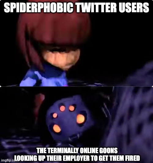 SPIDERPHOBIC TWITTER USERS; THE TERMINALLY ONLINE GOONS LOOKING UP THEIR EMPLOYER TO GET THEM FIRED | made w/ Imgflip meme maker